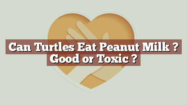 Can Turtles Eat Peanut Milk ? Good or Toxic ?