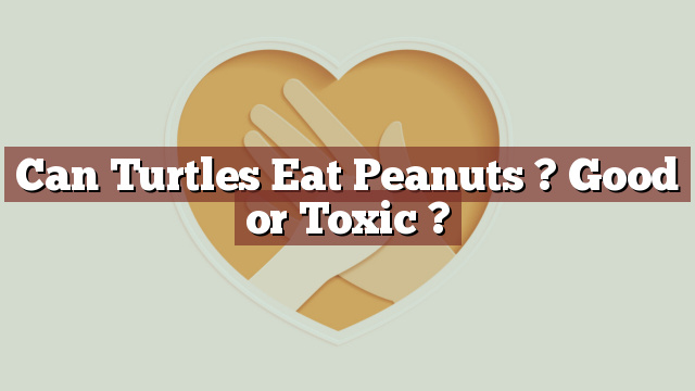 Can Turtles Eat Peanuts ? Good or Toxic ?