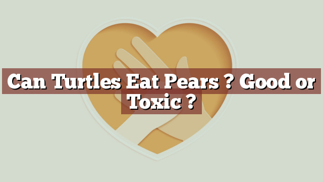 Can Turtles Eat Pears ? Good or Toxic ?