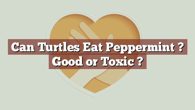 Can Turtles Eat Peppermint ? Good or Toxic ?