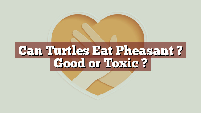 Can Turtles Eat Pheasant ? Good or Toxic ?