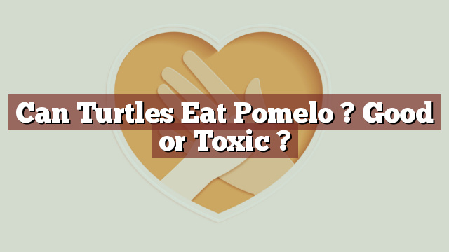 Can Turtles Eat Pomelo ? Good or Toxic ?