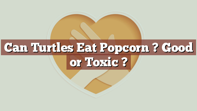 Can Turtles Eat Popcorn ? Good or Toxic ?