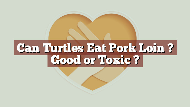 Can Turtles Eat Pork Loin ? Good or Toxic ?