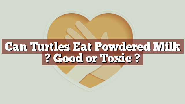 Can Turtles Eat Powdered Milk ? Good or Toxic ?