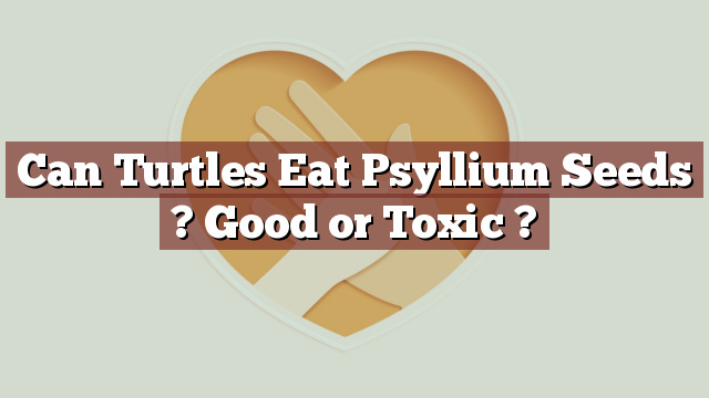 Can Turtles Eat Psyllium Seeds ? Good or Toxic ?