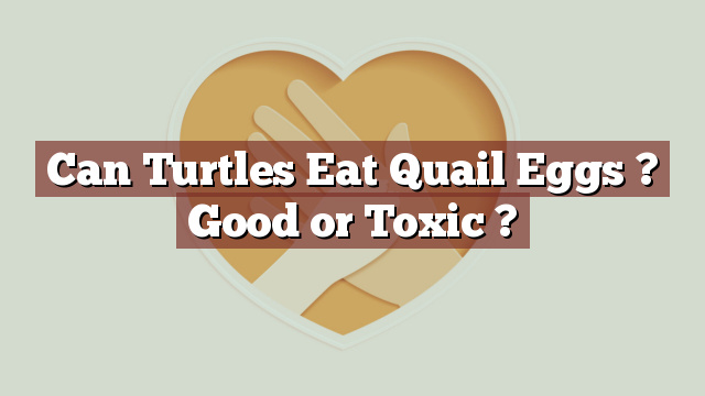 Can Turtles Eat Quail Eggs ? Good or Toxic ?