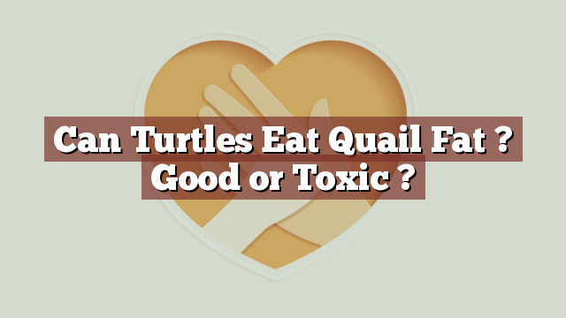 Can Turtles Eat Quail Fat ? Good or Toxic ?