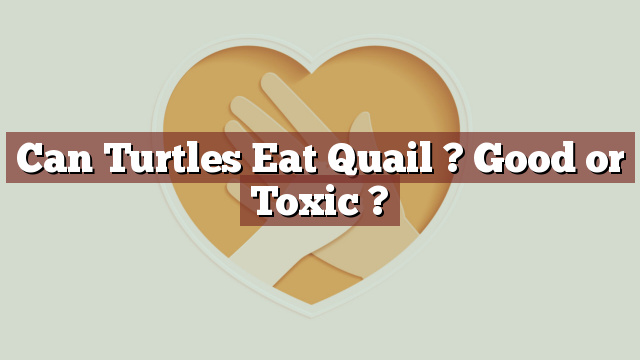 Can Turtles Eat Quail ? Good or Toxic ?