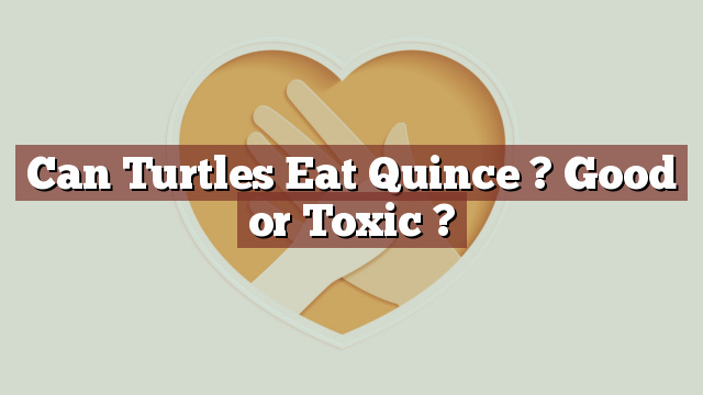 Can Turtles Eat Quince ? Good or Toxic ?