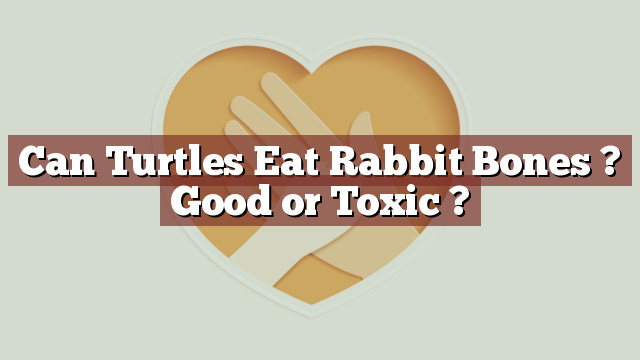 Can Turtles Eat Rabbit Bones ? Good or Toxic ?