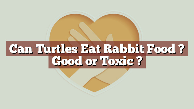 Can Turtles Eat Rabbit Food ? Good or Toxic ?