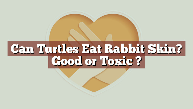 Can Turtles Eat Rabbit Skin? Good or Toxic ?