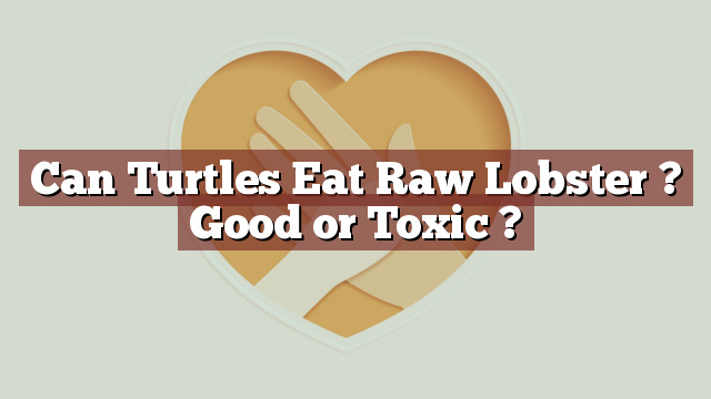 Can Turtles Eat Raw Lobster ? Good or Toxic ?