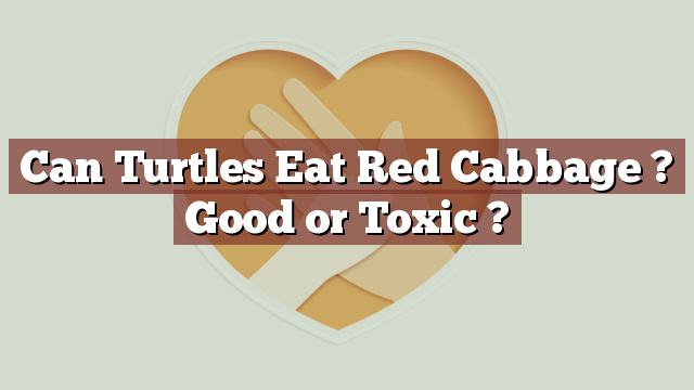 Can Turtles Eat Red Cabbage ? Good or Toxic ?