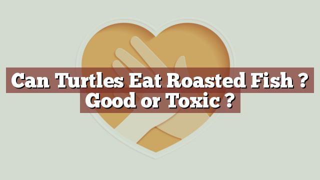 Can Turtles Eat Roasted Fish ? Good or Toxic ?