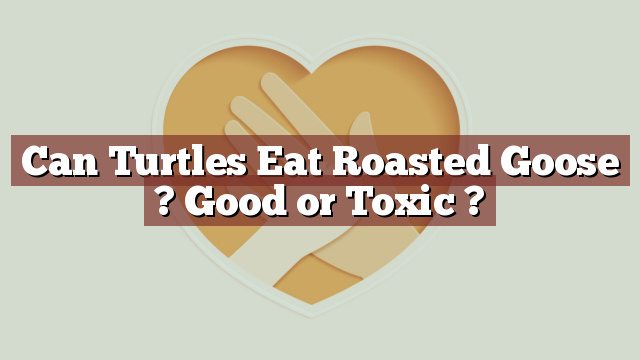 Can Turtles Eat Roasted Goose ? Good or Toxic ?