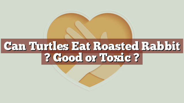Can Turtles Eat Roasted Rabbit ? Good or Toxic ?