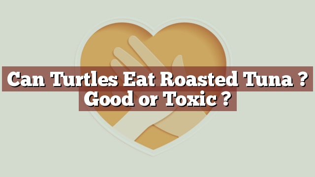 Can Turtles Eat Roasted Tuna ? Good or Toxic ?
