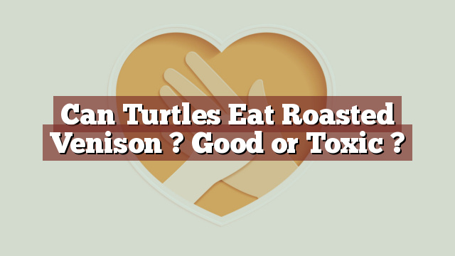 Can Turtles Eat Roasted Venison ? Good or Toxic ?