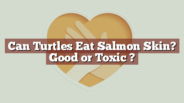 Can Turtles Eat Salmon Skin? Good or Toxic ?