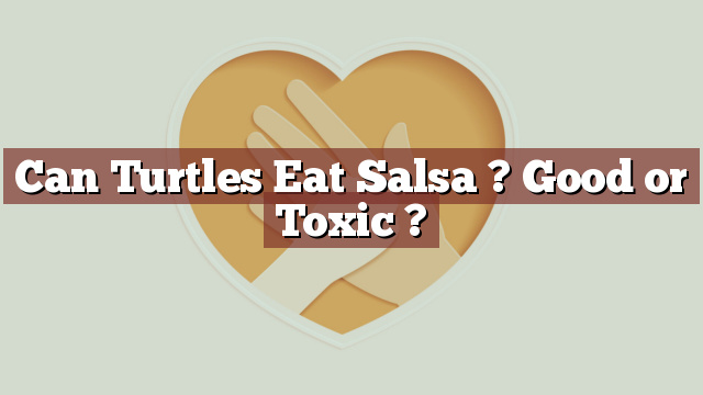 Can Turtles Eat Salsa ? Good or Toxic ?