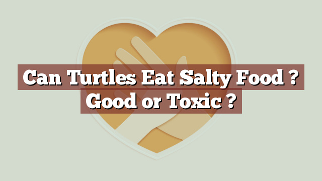 Can Turtles Eat Salty Food ? Good or Toxic ?