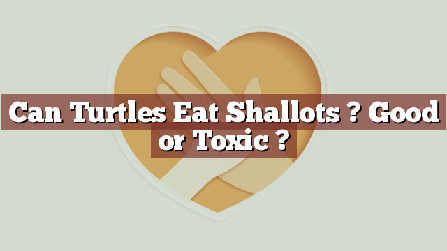 Can Turtles Eat Shallots ? Good or Toxic ?
