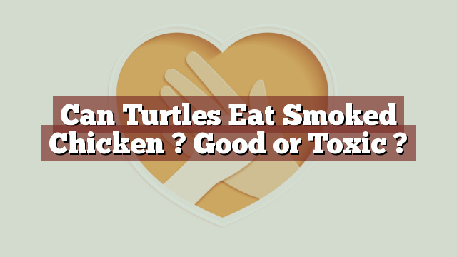 Can Turtles Eat Smoked Chicken ? Good or Toxic ?