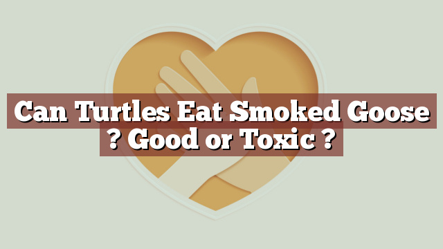 Can Turtles Eat Smoked Goose ? Good or Toxic ?