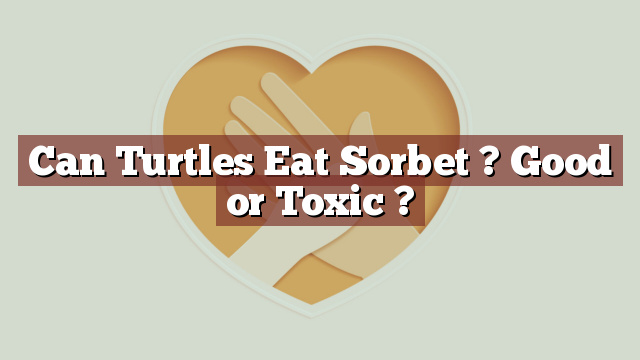 Can Turtles Eat Sorbet ? Good or Toxic ?
