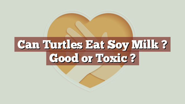 Can Turtles Eat Soy Milk ? Good or Toxic ?