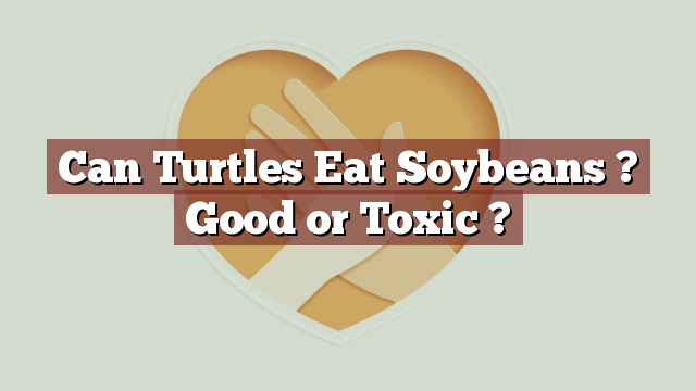 Can Turtles Eat Soybeans ? Good or Toxic ?