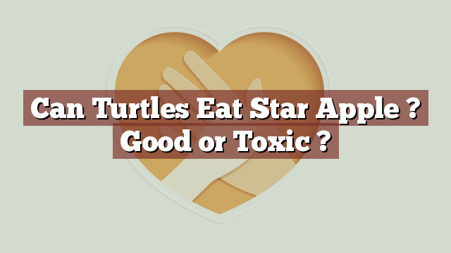 Can Turtles Eat Star Apple ? Good or Toxic ?