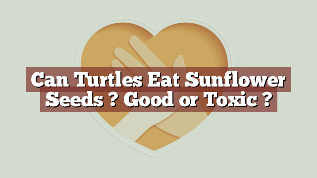 Can Turtles Eat Sunflower Seeds ? Good or Toxic ?