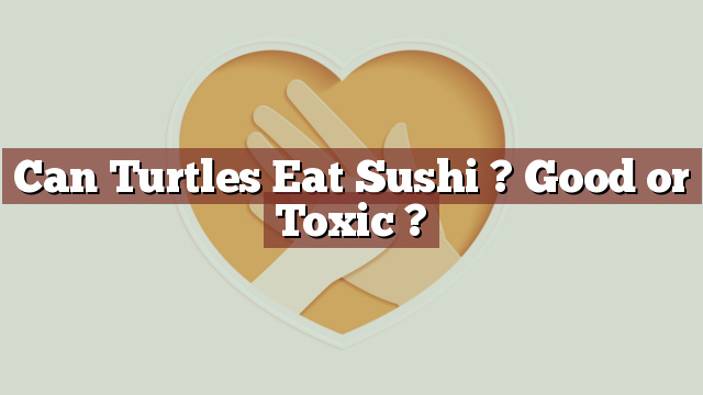 Can Turtles Eat Sushi ? Good or Toxic ?