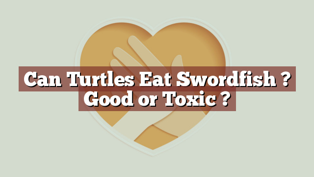 Can Turtles Eat Swordfish ? Good or Toxic ?