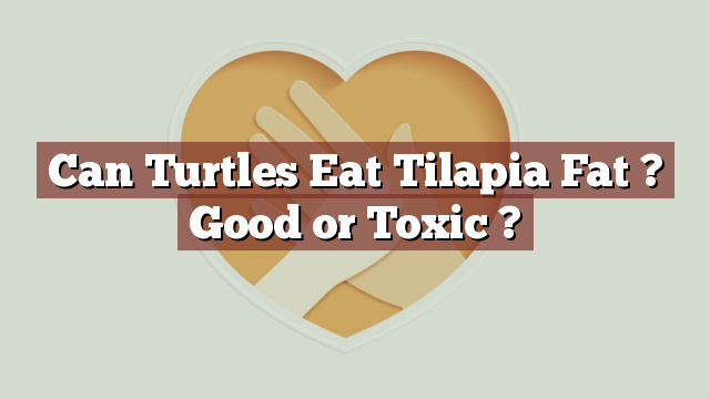 Can Turtles Eat Tilapia Fat ? Good or Toxic ?