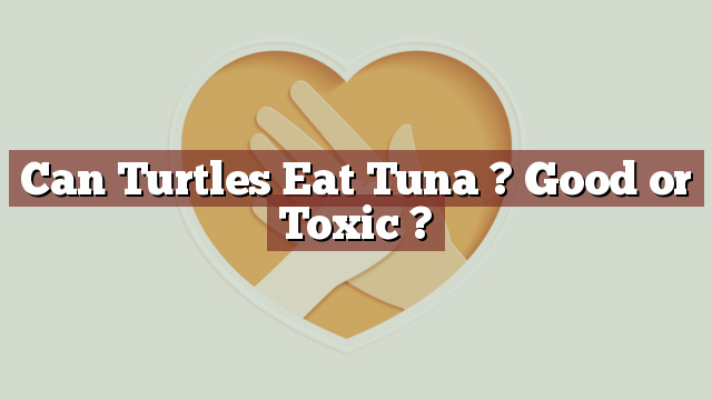 Can Turtles Eat Tuna ? Good or Toxic ?