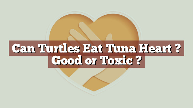 Can Turtles Eat Tuna Heart ? Good or Toxic ?