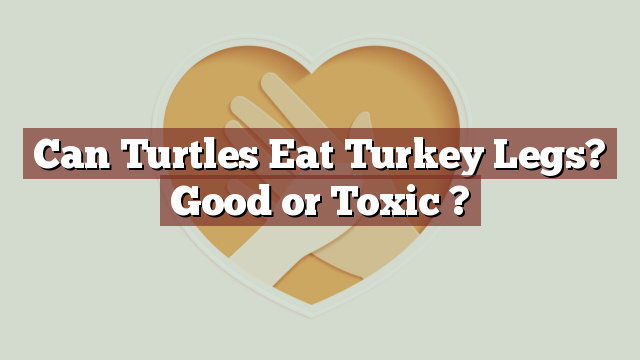 Can Turtles Eat Turkey Legs? Good or Toxic ?