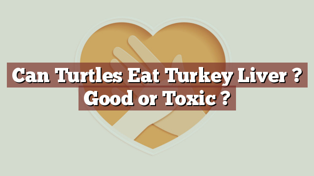 Can Turtles Eat Turkey Liver ? Good or Toxic ?