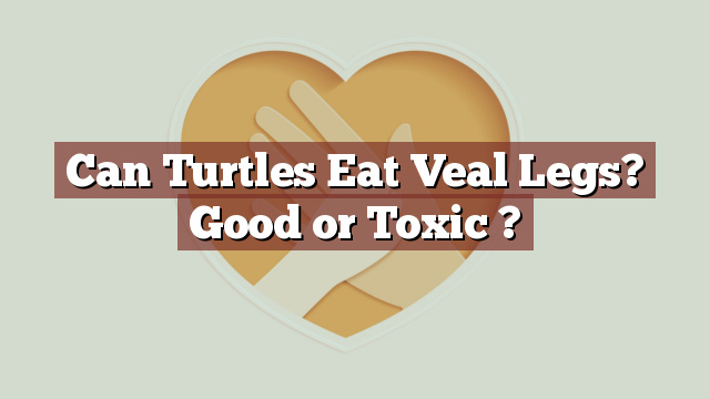 Can Turtles Eat Veal Legs? Good or Toxic ?