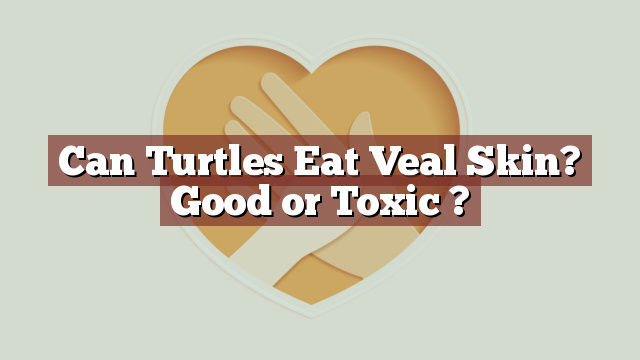 Can Turtles Eat Veal Skin? Good or Toxic ?
