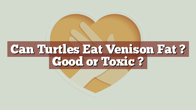 Can Turtles Eat Venison Fat ? Good or Toxic ?