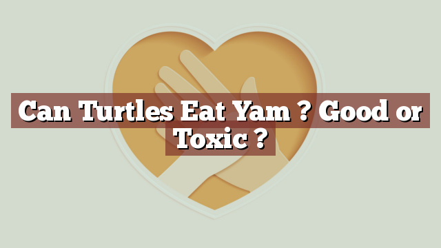 Can Turtles Eat Yam ? Good or Toxic ?