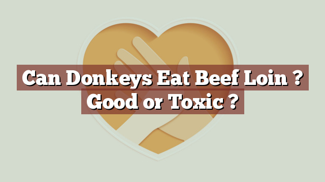 Can Donkeys Eat Beef Loin ? Good or Toxic ?