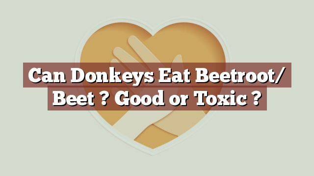 Can Donkeys Eat Beetroot/ Beet ? Good or Toxic ?