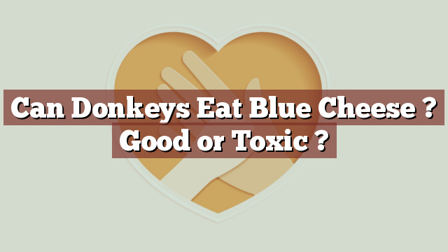 Can Donkeys Eat Blue Cheese ? Good or Toxic ?