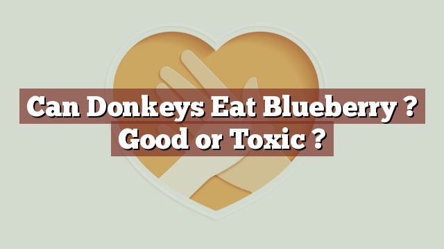 Can Donkeys Eat Blueberry ? Good or Toxic ?